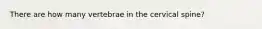 There are how many vertebrae in the cervical spine?