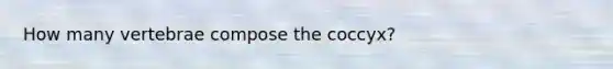 How many vertebrae compose the coccyx?