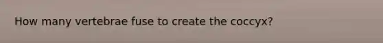 How many vertebrae fuse to create the coccyx?