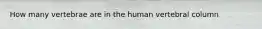 How many vertebrae are in the human vertebral column