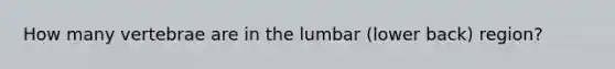 How many vertebrae are in the lumbar (lower back) region?