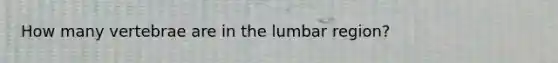 How many vertebrae are in the lumbar region?