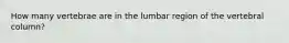 How many vertebrae are in the lumbar region of the vertebral column?