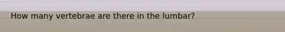 How many vertebrae are there in the lumbar?