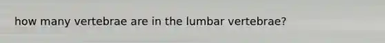 how many vertebrae are in the lumbar vertebrae?