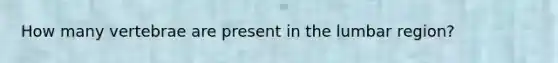 How many vertebrae are present in the lumbar region?