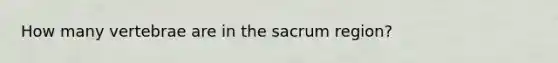 How many vertebrae are in the sacrum region?