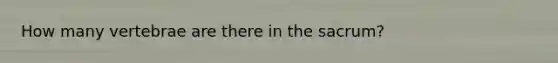 How many vertebrae are there in the sacrum?