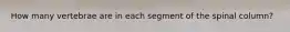 How many vertebrae are in each segment of the spinal column?