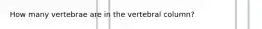 How many vertebrae are in the vertebral column?