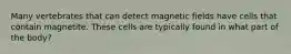 Many vertebrates that can detect magnetic fields have cells that contain magnetite. These cells are typically found in what part of the body?