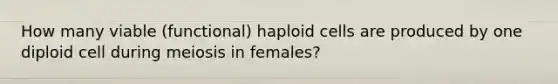 How many viable (functional) haploid cells are produced by one diploid cell during meiosis in females?