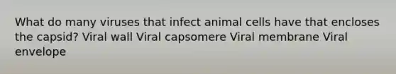 What do many viruses that infect animal cells have that encloses the capsid? Viral wall Viral capsomere Viral membrane Viral envelope