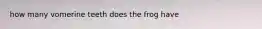 how many vomerine teeth does the frog have