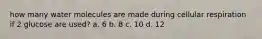 how many water molecules are made during cellular respiration if 2 glucose are used? a. 6 b. 8 c. 10 d. 12