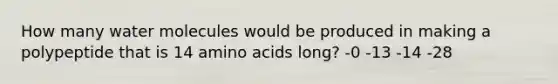 How many water molecules would be produced in making a polypeptide that is 14 amino acids long? -0 -13 -14 -28