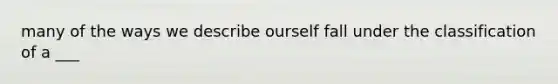 many of the ways we describe ourself fall under the classification of a ___