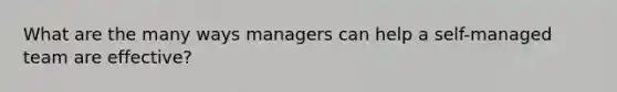 What are the many ways managers can help a self-managed team are effective?