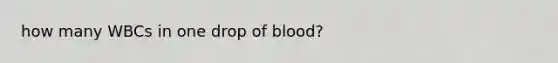 how many WBCs in one drop of blood?