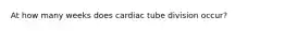 At how many weeks does cardiac tube division occur?