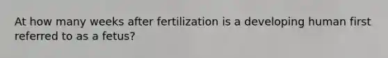 At how many weeks after fertilization is a developing human first referred to as a fetus?