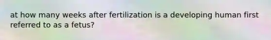 at how many weeks after fertilization is a developing human first referred to as a fetus?