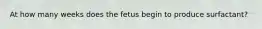 At how many weeks does the fetus begin to produce surfactant?