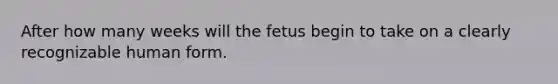 After how many weeks will the fetus begin to take on a clearly recognizable human form.