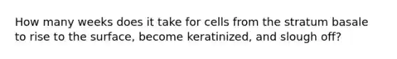 How many weeks does it take for cells from the stratum basale to rise to the surface, become keratinized, and slough off?