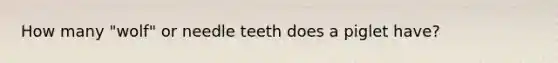 How many "wolf" or needle teeth does a piglet have?