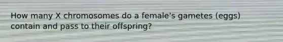 How many X chromosomes do a female's gametes (eggs) contain and pass to their offspring?