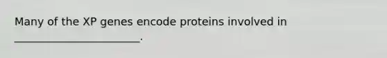 Many of the XP genes encode proteins involved in _______________________.