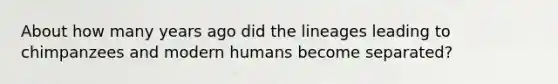 About how many years ago did the lineages leading to chimpanzees and modern humans become separated?