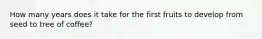 How many years does it take for the first fruits to develop from seed to tree of coffee?