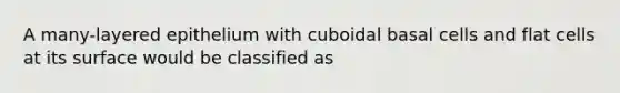 A many-layered epithelium with cuboidal basal cells and flat cells at its surface would be classified as