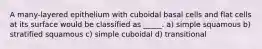 A many-layered epithelium with cuboidal basal cells and flat cells at its surface would be classified as _____. a) simple squamous b) stratified squamous c) simple cuboidal d) transitional