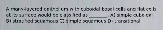 A many-layered epithelium with cuboidal basal cells and flat cells at its surface would be classified as ________. A) simple cuboidal B) stratified squamous C) simple squamous D) transitional