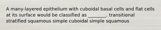 A many-layered epithelium with cuboidal basal cells and flat cells at its surface would be classified as ________. transitional stratified squamous simple cuboidal simple squamous