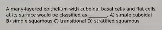 A many-layered epithelium with cuboidal basal cells and flat cells at its surface would be classified as ________. A) simple cuboidal B) simple squamous C) transitional D) stratified squamous