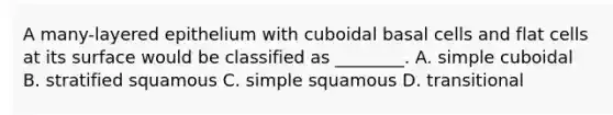 A many-layered epithelium with cuboidal basal cells and flat cells at its surface would be classified as ________. A. simple cuboidal B. stratified squamous C. simple squamous D. transitional