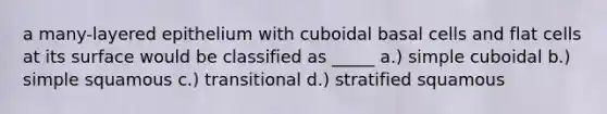 a many-layered epithelium with cuboidal basal cells and flat cells at its surface would be classified as _____ a.) simple cuboidal b.) simple squamous c.) transitional d.) stratified squamous