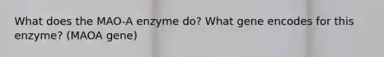 What does the MAO-A enzyme do? What gene encodes for this enzyme? (MAOA gene)