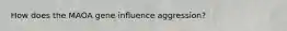 How does the MAOA gene influence aggression?