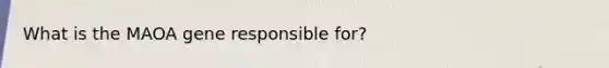 What is the MAOA gene responsible for?
