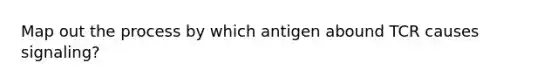 Map out the process by which antigen abound TCR causes signaling?