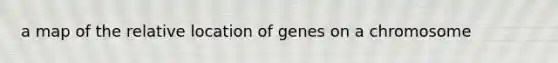 a map of the relative location of genes on a chromosome