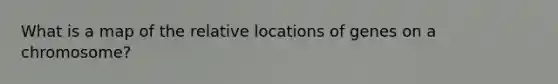 What is a map of the relative locations of genes on a chromosome?