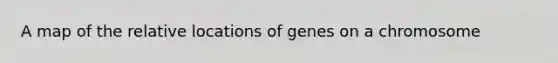 A map of the relative locations of genes on a chromosome