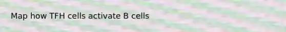 Map how TFH cells activate B cells