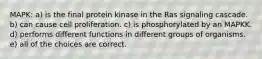 MAPK: a) is the final protein kinase in the Ras signaling cascade. b) can cause cell proliferation. c) is phosphorylated by an MAPKK. d) performs different functions in different groups of organisms. e) all of the choices are correct.